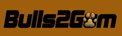 Logo Bulls2Gum